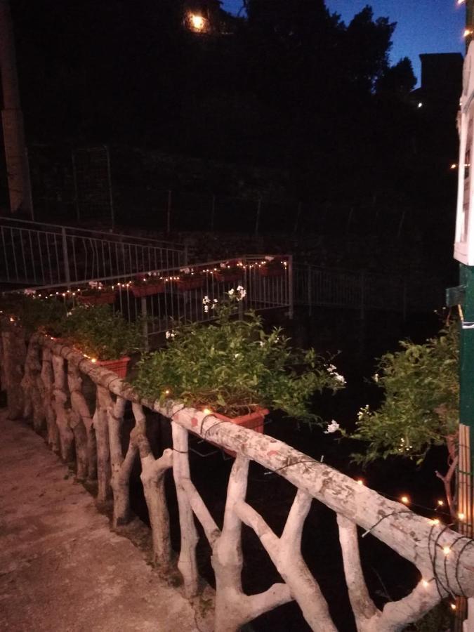 Posidonia Cinque Terre Guesthouse Манарола Екстер'єр фото